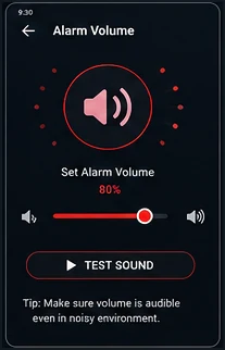 FULL BATTERY & THEFT ALARM — Alarm volume
